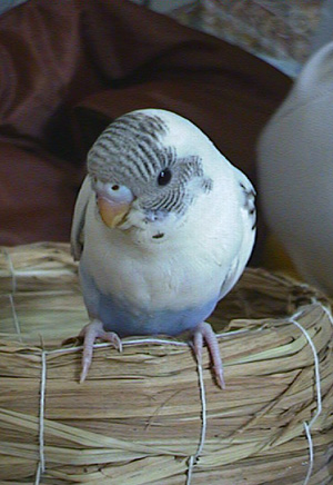 �����I