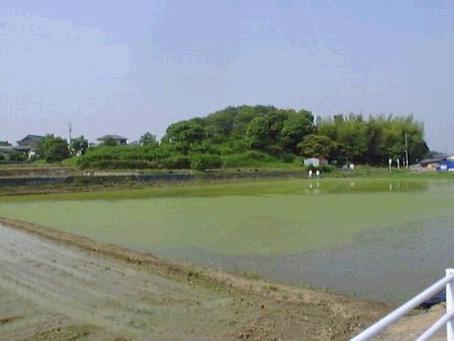 ͸ʯ-2.JPG