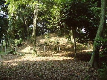 Ŵݻʯ-1.JPG
